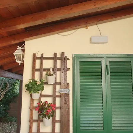 Andrea's House 피우미치노